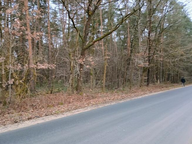 działka leśna 0,78 Ha ok. Mszczonowa