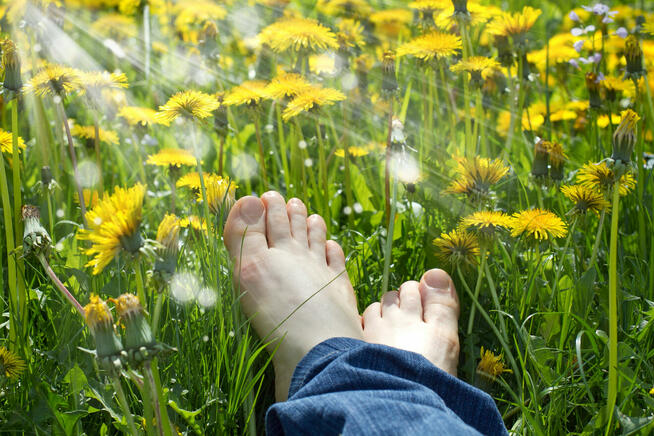 MEDYCYNA NATURALNA BIOENERGOTERAPIA Siewierz - Śląsk