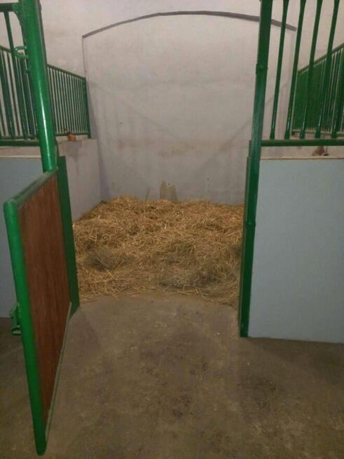 Na sprzedaż budynek gospodarczy 800 m² – Zaręba, Dolny Śląsk