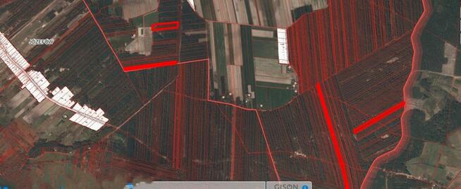 Działki pod produkcję rolną, produkcję siana, lasy