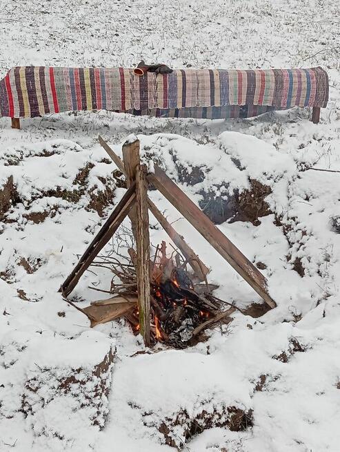 Agroturystyka Szczere Pole