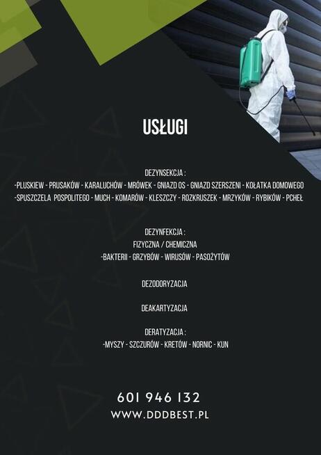 DDD BEST Dezynsekcja Deratyzacja odpluskwianie likwidacja os