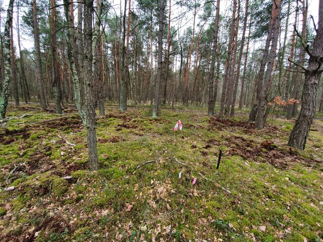 Działka inwestycyjna Michałówek gm. Wiązowna