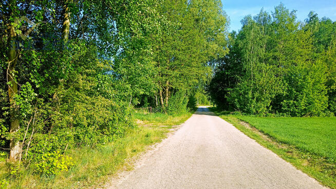 Działka inwestycyjna Adamowa Góra gm. Młodzieszyn,