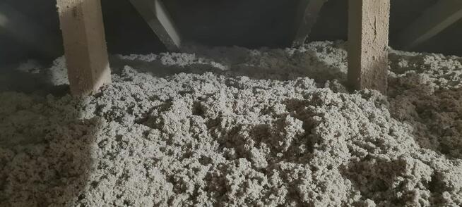 Naprawa i uzupełnianie izolacji poddasza po kunie Celulozą