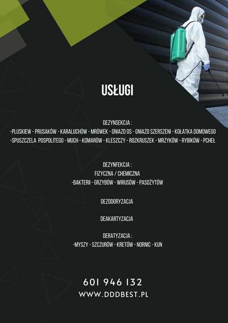 DDD dezynsekcja deratyzacja pluskiew myszy HACCP osy prusaki