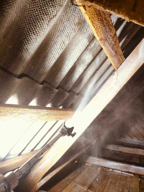 DDD dezynsekcja deratyzacja pluskiew myszy HACCP osy prusaki