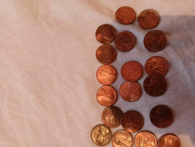 Monety 1 cent 62 sztuk 506 354 060