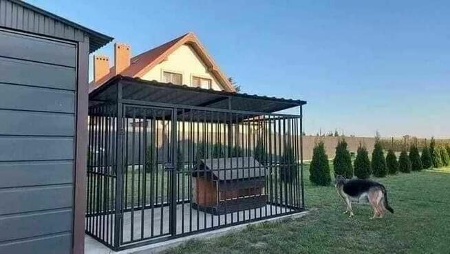 Boxy kojce dla psów