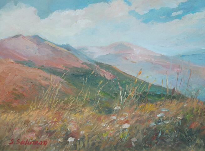 Galeria autorska Sabina Salamon Trzebownisko 770