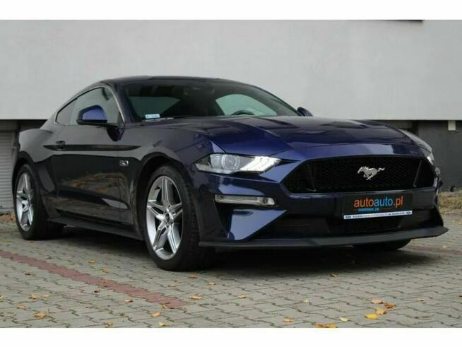 Ford Mustang GT! Bezwypadkowy! Salon PL! VAT23%! I rej 12/2019! 18 TYS KM!