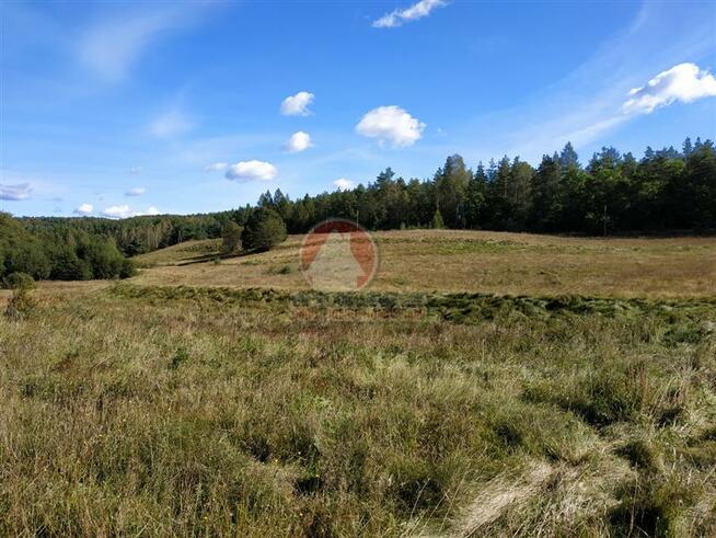 Działka budowlana Przywidz, xxx