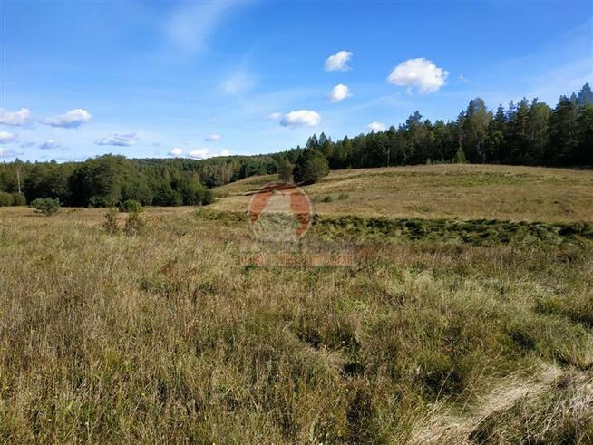 Działka budowlana Przywidz, xxx