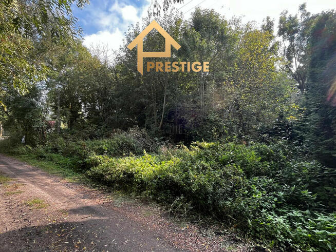 Na sprzedaż działka rolna- zabudowana.