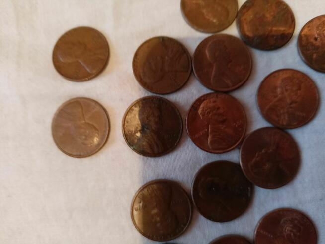 Monety 1 cent 62 sztuk 506 354 060