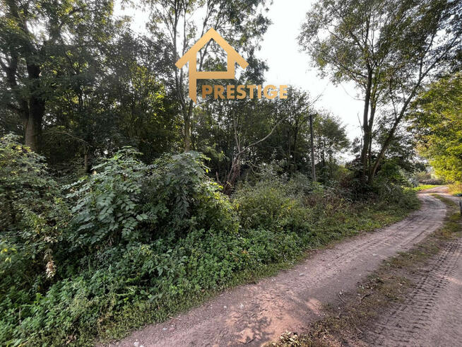 Na sprzedaż działka rolna- zabudowana.