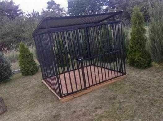 Boxy Kojce dla psów!