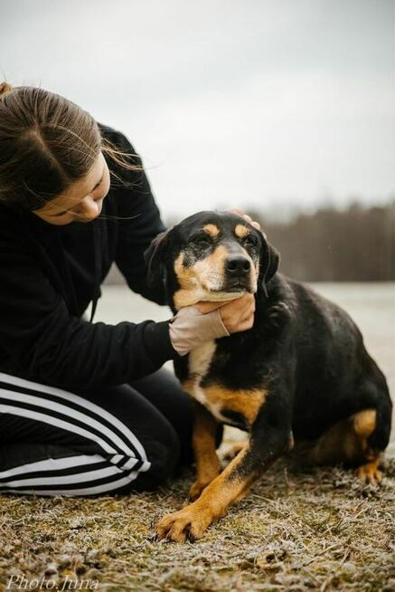 Kora-suczka która nigdy nie miala domu bardzo o niego prosi