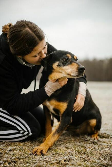 Kora-suczka która nigdy nie miala domu bardzo o niego prosi