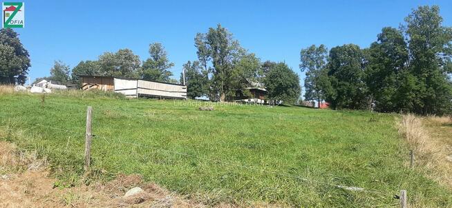 Kształtna działka zlokalizowana w Leśnicy