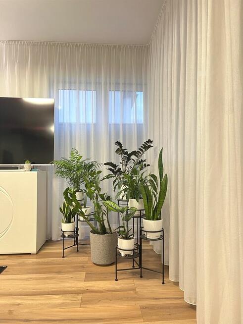 Mieszkanie z ogródkiem w zabudowie szeregowej Ciechocinek