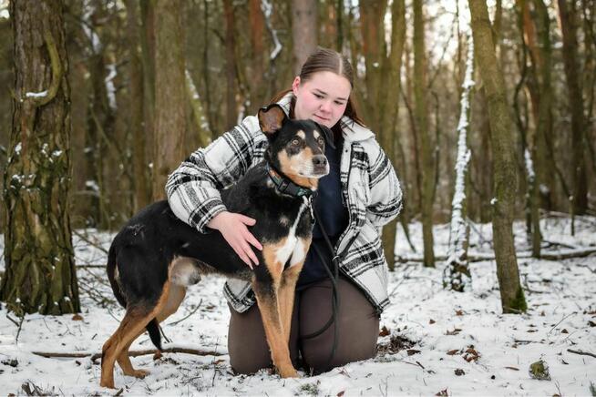 Afgan - czy po 10 latach znajdzie sie dom, który go pokocha?