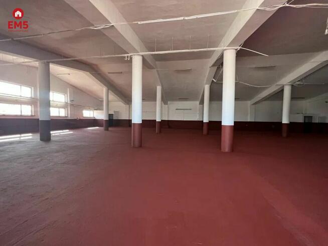 Lokal użytkowy Stare Babice