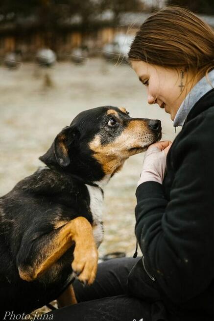 Kora-suczka która nigdy nie miala domu bardzo o niego prosi
