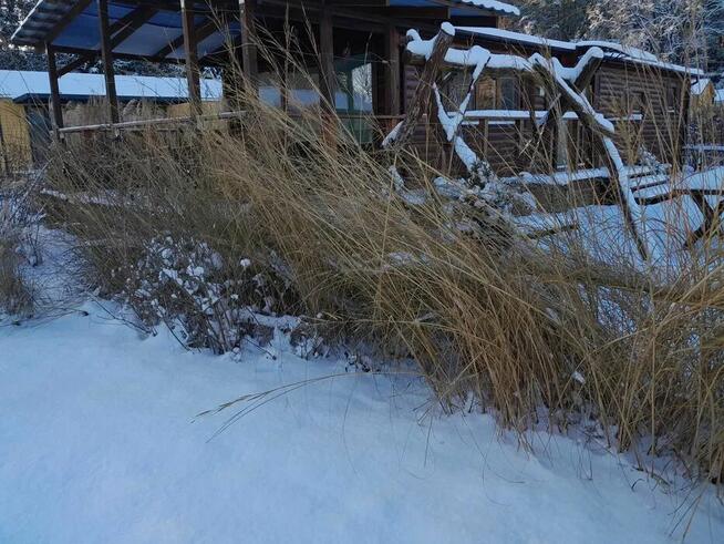 Domki do wynajęcia Warmia Mazury Jesień Zima 2024 Plaża nad