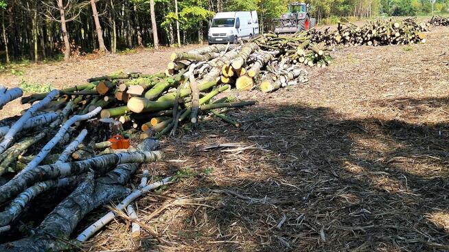 Mulczowanie wgłebne i powierzchniowe Wycinka drzew