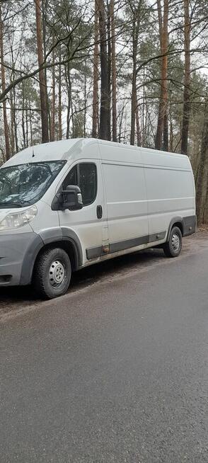 Transport -50%/Przeprowadzki