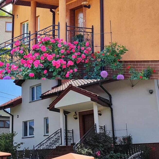 Malowanie ,renowacje Elewacji od 70 zł