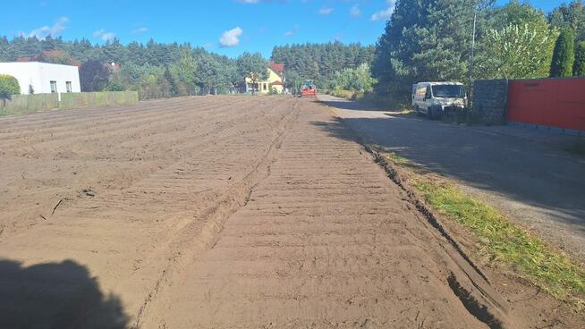 Mulczowanie wgłebne i powierzchniowe Wycinka drzew