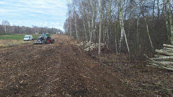 Mulczowanie wgłebne i powierzchniowe Wycinka drzew