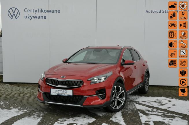 Kia XCeed 1.6T-GDI 204KM XL DCT SalonPl Kamera Nawigacja Pogrz.Szyba Kier. El.Kl