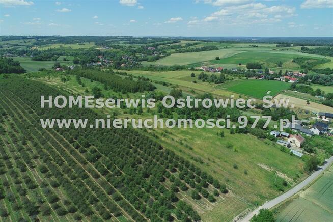 Działka Ostrowiec Świętokrzyski Częstocice