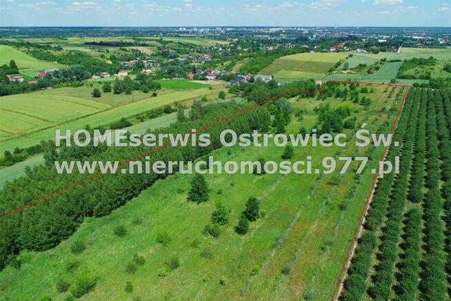 Działka Ostrowiec Świętokrzyski Częstocice