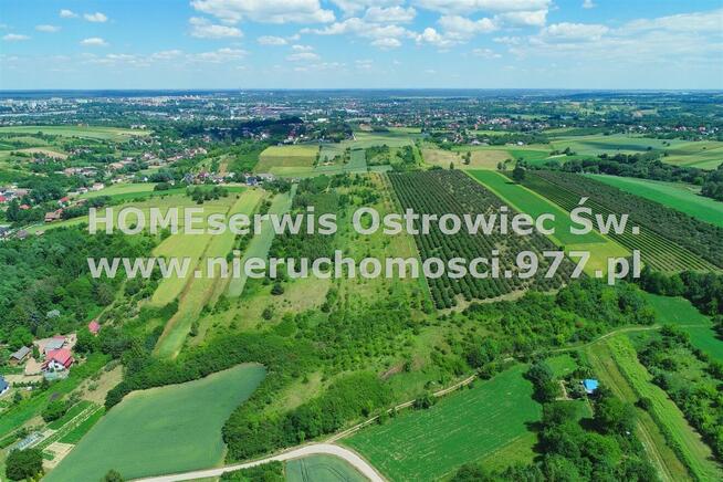 Działka Ostrowiec Świętokrzyski Częstocice