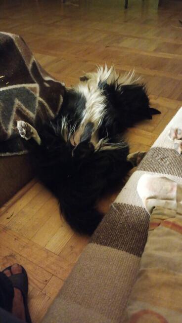 Szukam pani do związku mam 66 lat i mieszkam w Przecławiu ko