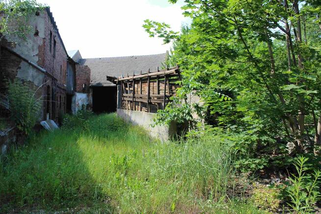 Sprzedam dom wraz z zabudowaniami gospodarczymi