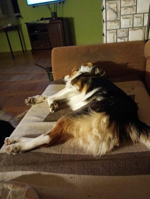 Szukam pani do związku mam 66 lat i mieszkam w Przecławiu ko