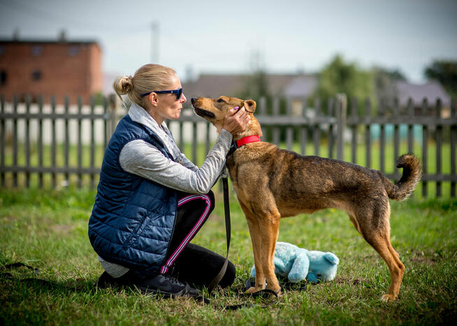 Kromka poleca się do adopcji