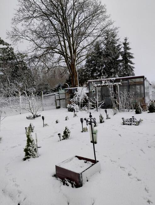 lokal uzytkowy wolnostojacy