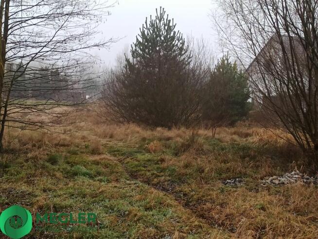 Działka niedaleko lasu