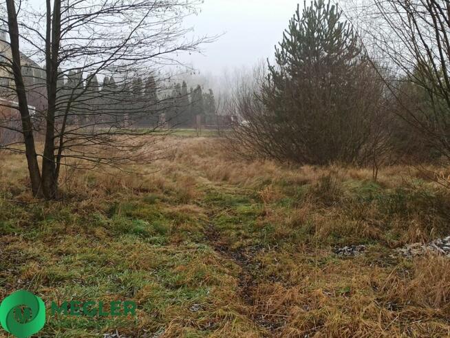 Działka niedaleko lasu