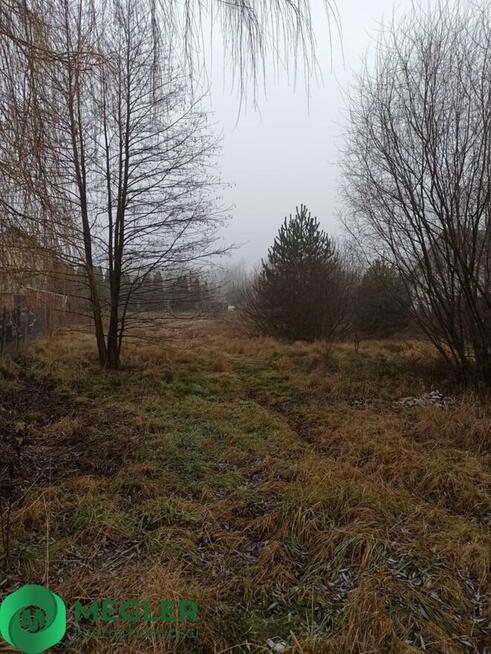 Działka niedaleko lasu