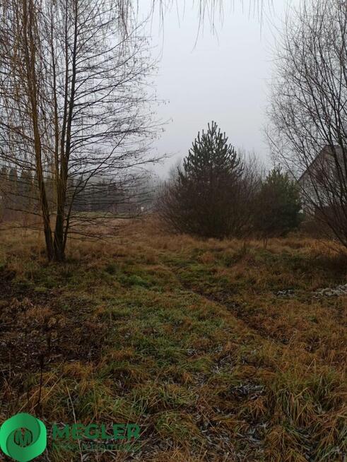 Działka niedaleko lasu