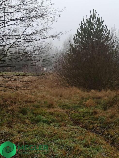 Działka niedaleko lasu