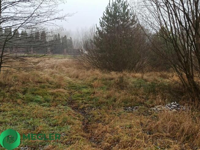 Działka niedaleko lasu