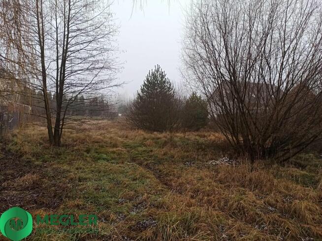 Działka niedaleko lasu